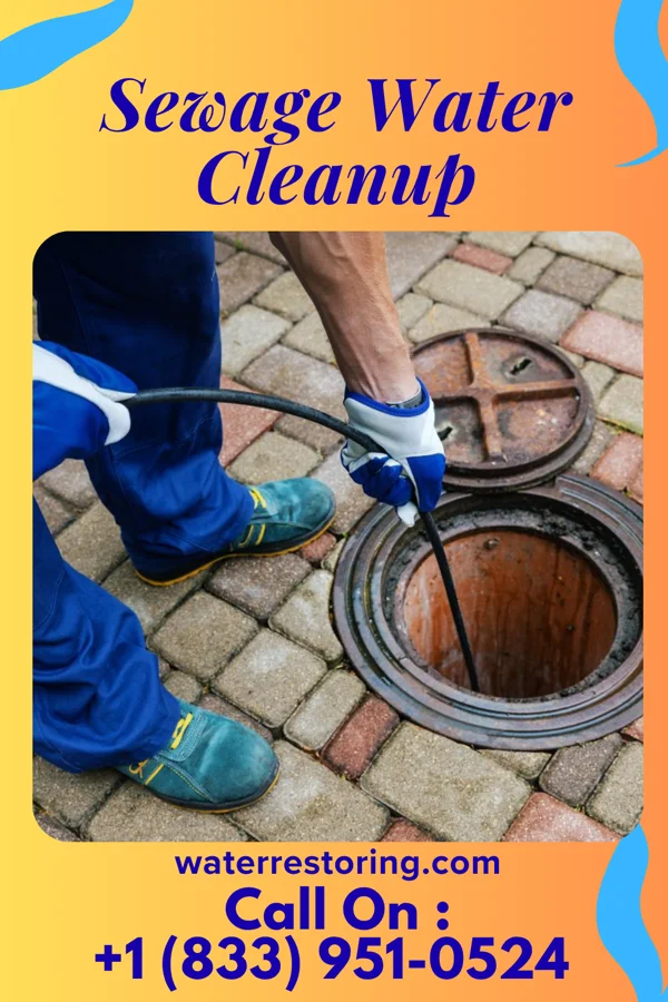 Sewage Water Cleanup in Starbuck, MN